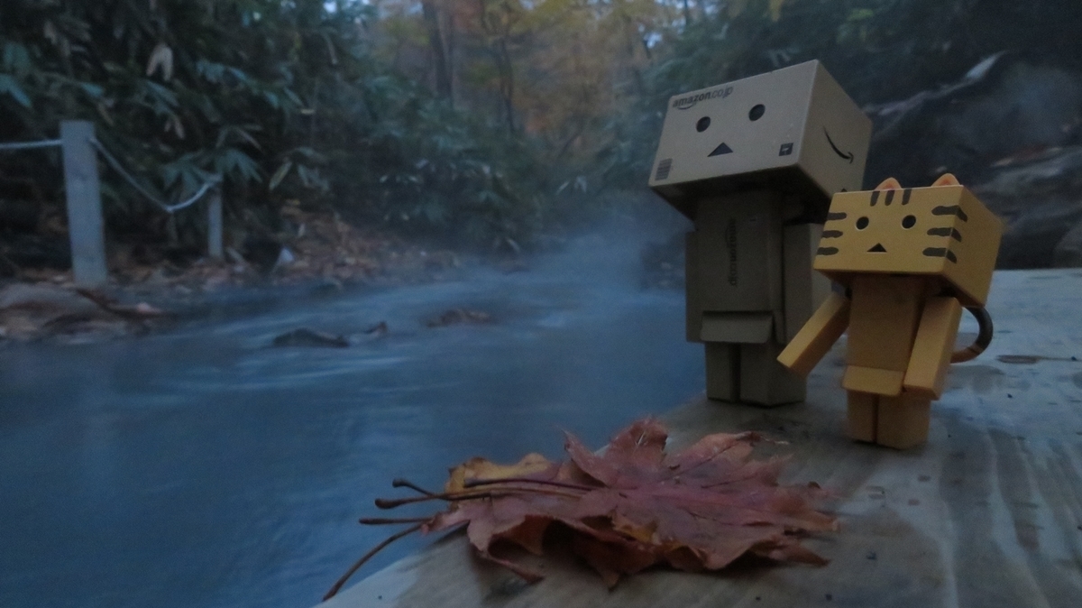 f:id:shirokumapanda:20181103004353j:plain