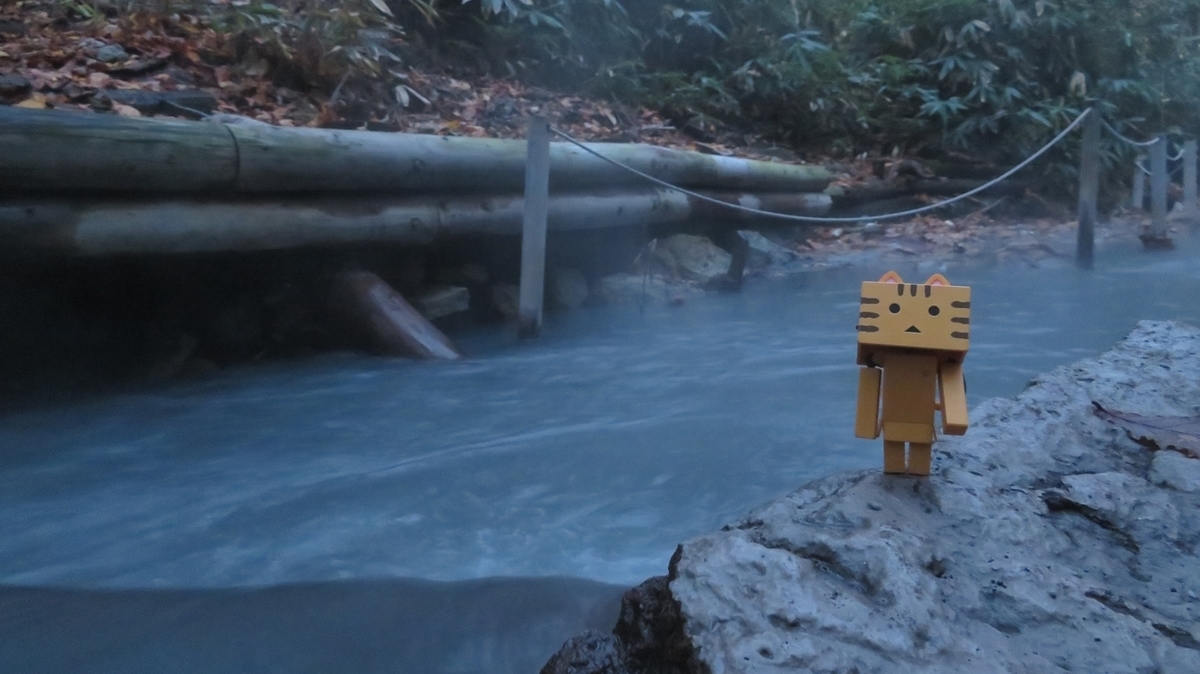 f:id:shirokumapanda:20181103004357j:plain