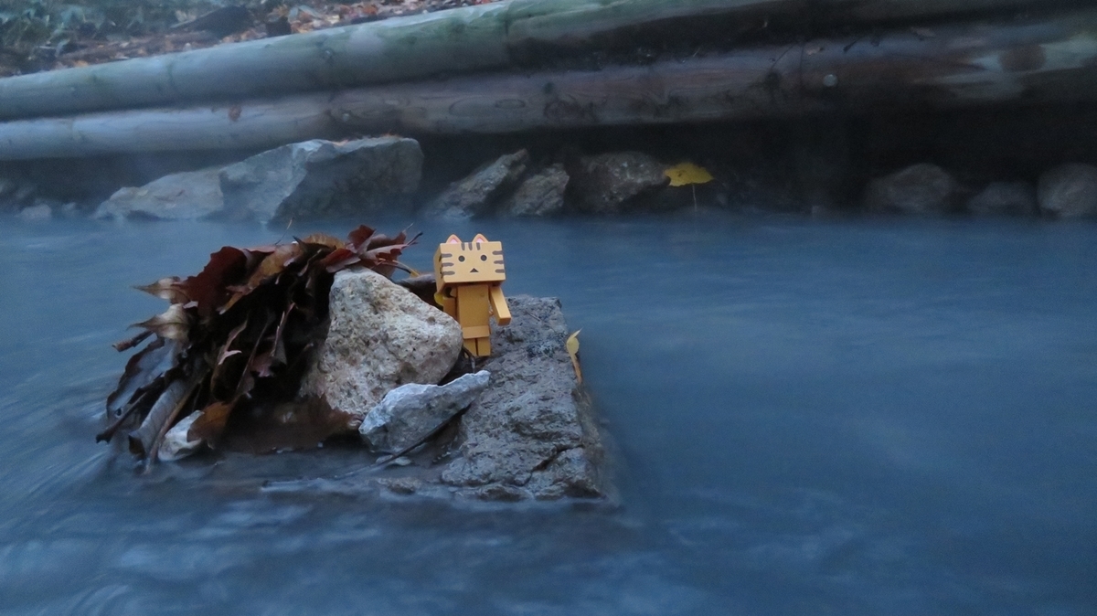 f:id:shirokumapanda:20181103004401j:plain