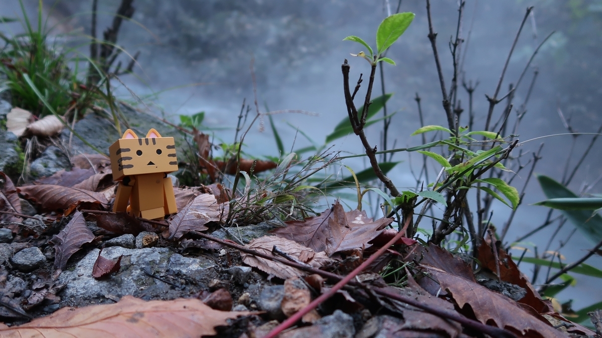 f:id:shirokumapanda:20181103004454j:plain