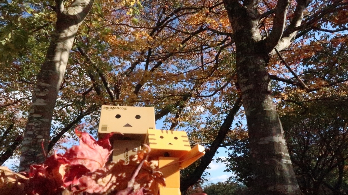 f:id:shirokumapanda:20181108002328j:plain f:id:shirokumapanda:20181108002328j:plain