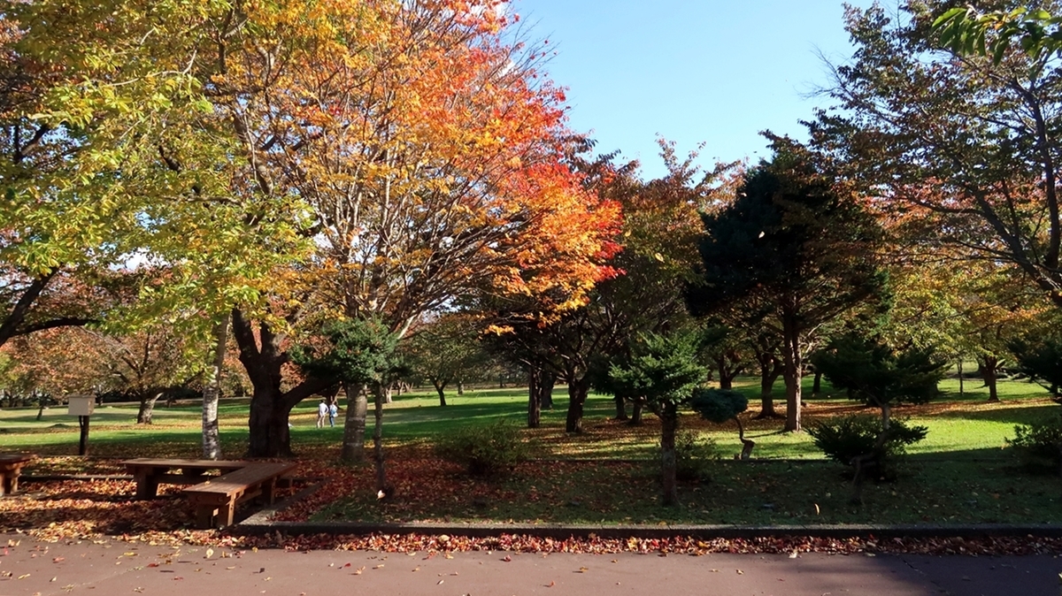 f:id:shirokumapanda:20181108002426j:plain f:id:shirokumapanda:20181108002426j:plain