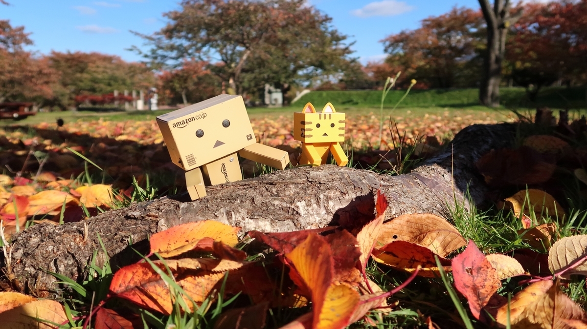 f:id:shirokumapanda:20181108002430j:plain f:id:shirokumapanda:20181108002430j:plain