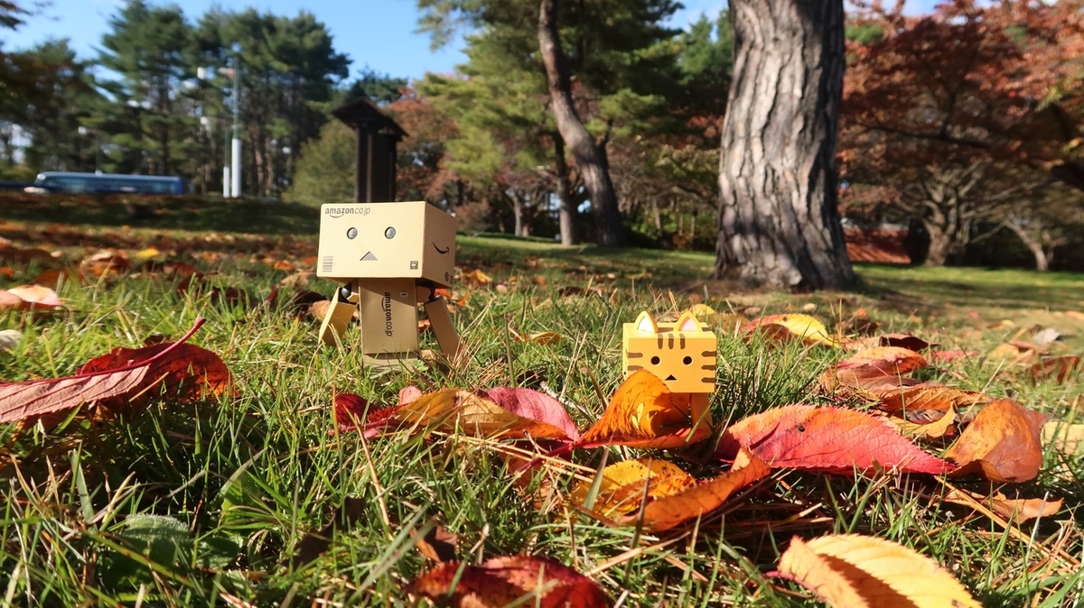 f:id:shirokumapanda:20181108002435j:plain f:id:shirokumapanda:20181108002435j:plain