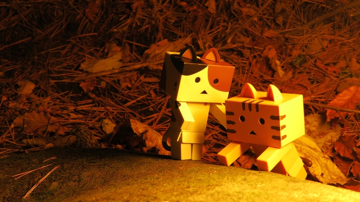 f:id:shirokumapanda:20181113230640j:plain