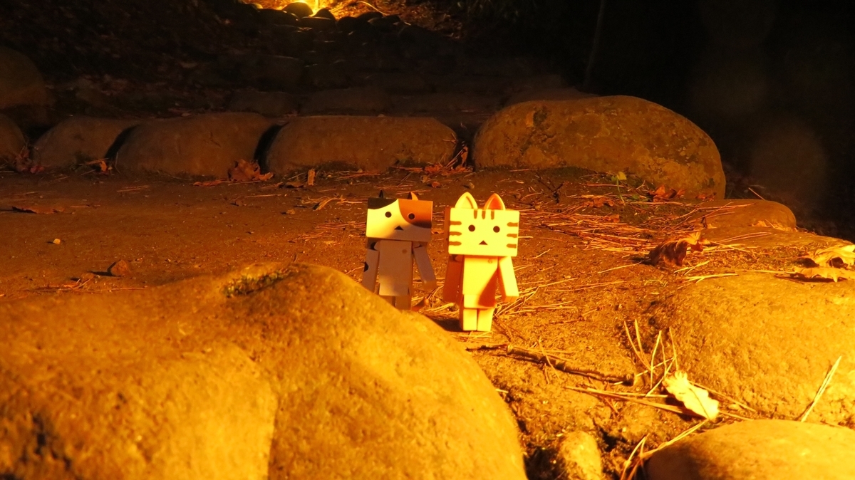 f:id:shirokumapanda:20181113230645j:plain