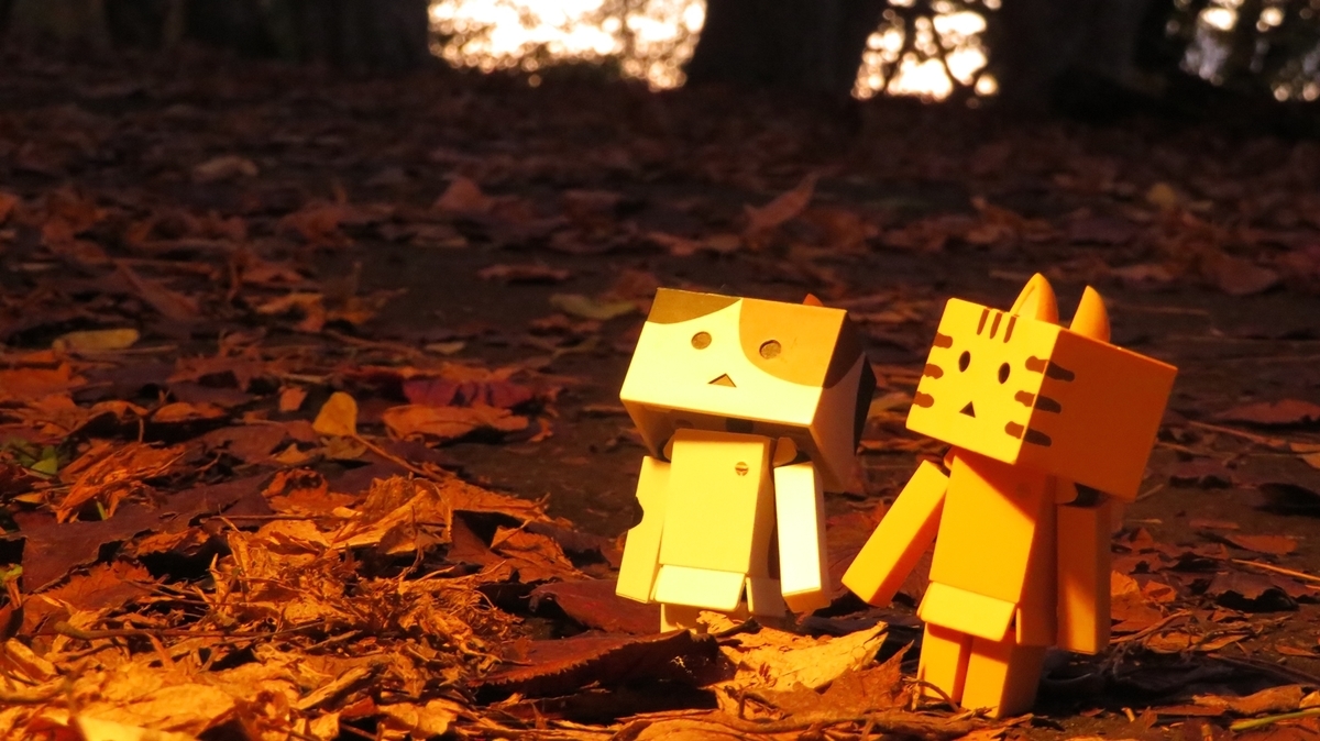 f:id:shirokumapanda:20181113230654j:plain