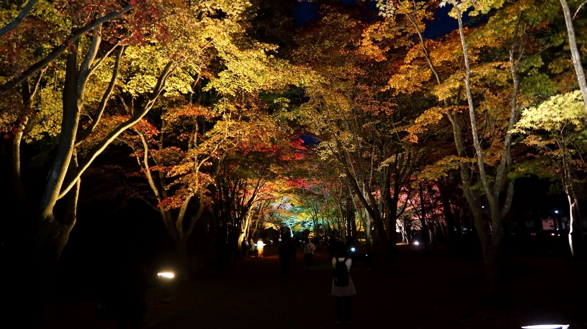 f:id:shirokumapanda:20181113230751j:plain