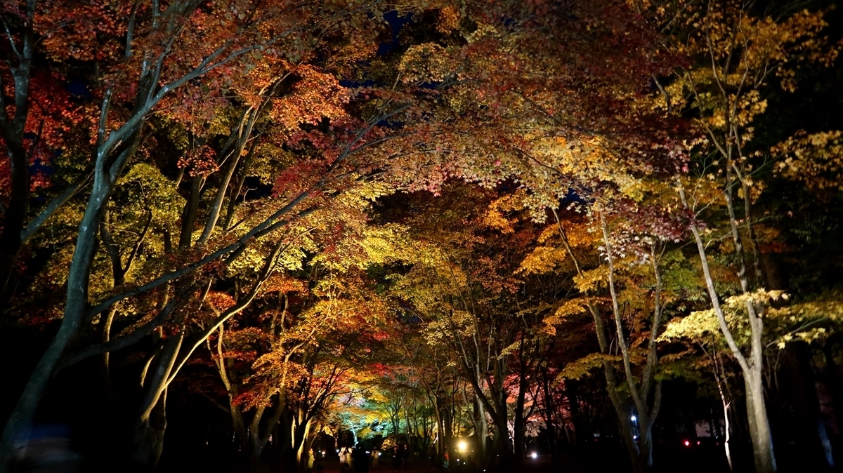 f:id:shirokumapanda:20181113230756j:plain