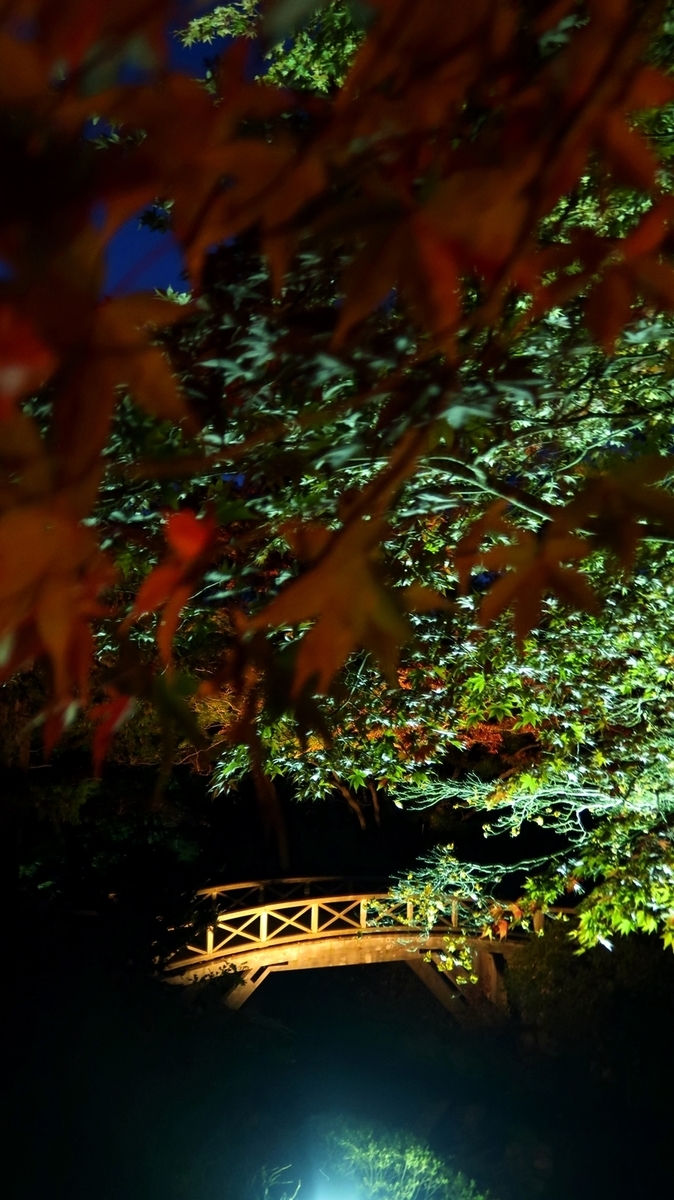 f:id:shirokumapanda:20181113230804j:plain