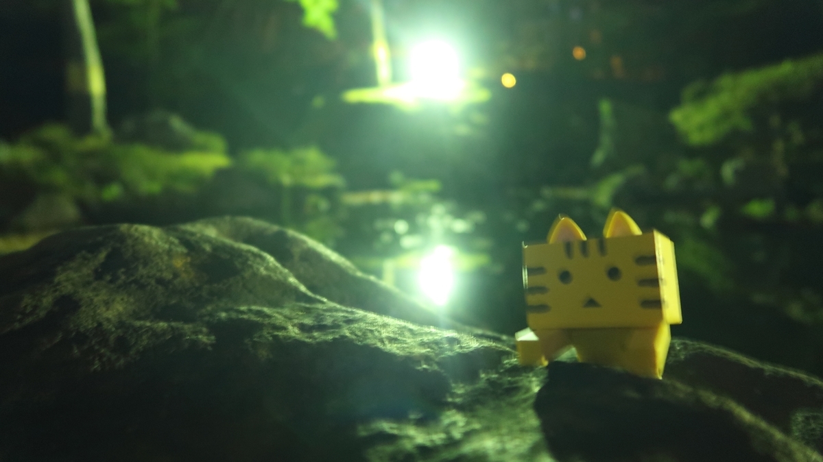 f:id:shirokumapanda:20181113230808j:plain