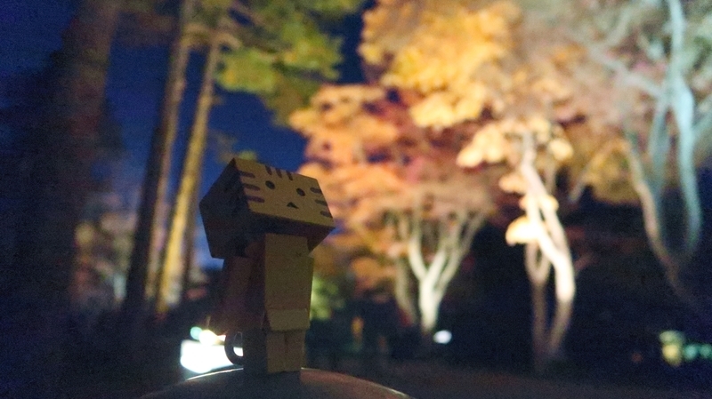 f:id:shirokumapanda:20181113231207j:plain