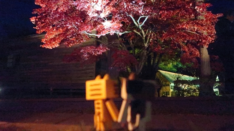 f:id:shirokumapanda:20181113231211j:plain