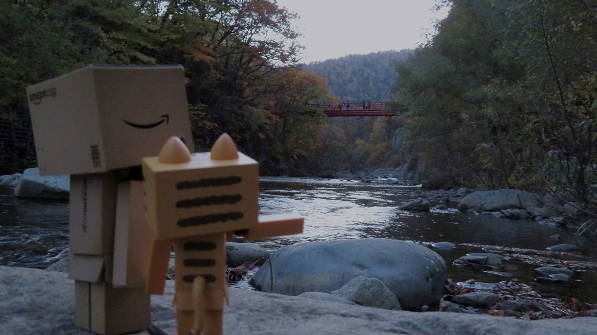 f:id:shirokumapanda:20181116233311j:plain f:id:shirokumapanda:20181116233311j:plain