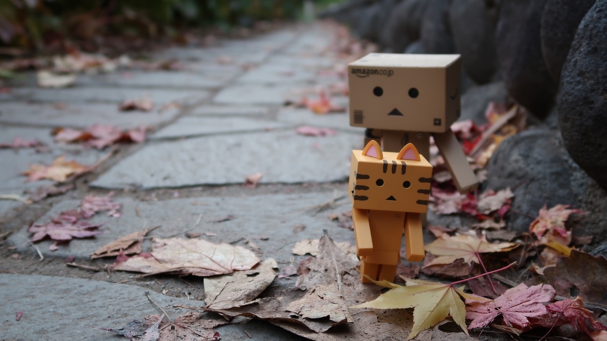 f:id:shirokumapanda:20181116233501j:plain f:id:shirokumapanda:20181116233501j:plain