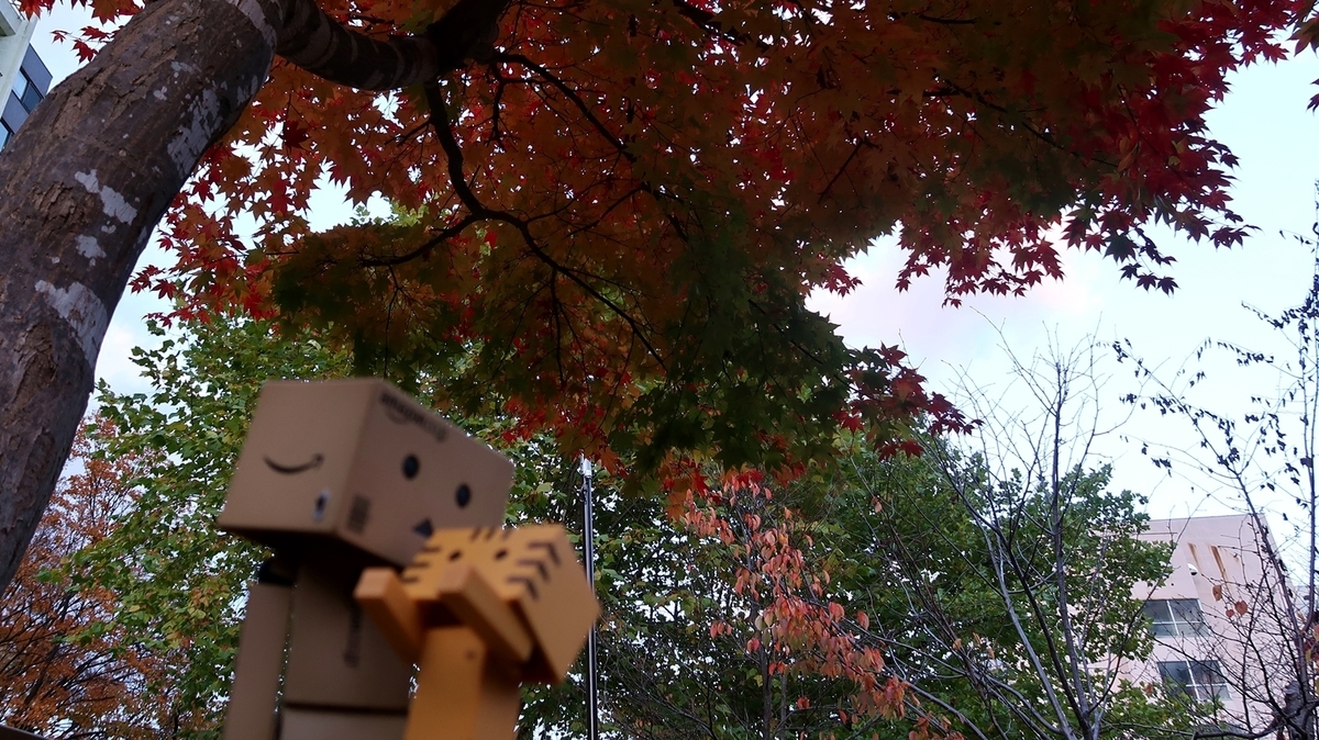 f:id:shirokumapanda:20181116233505j:plain f:id:shirokumapanda:20181116233505j:plain