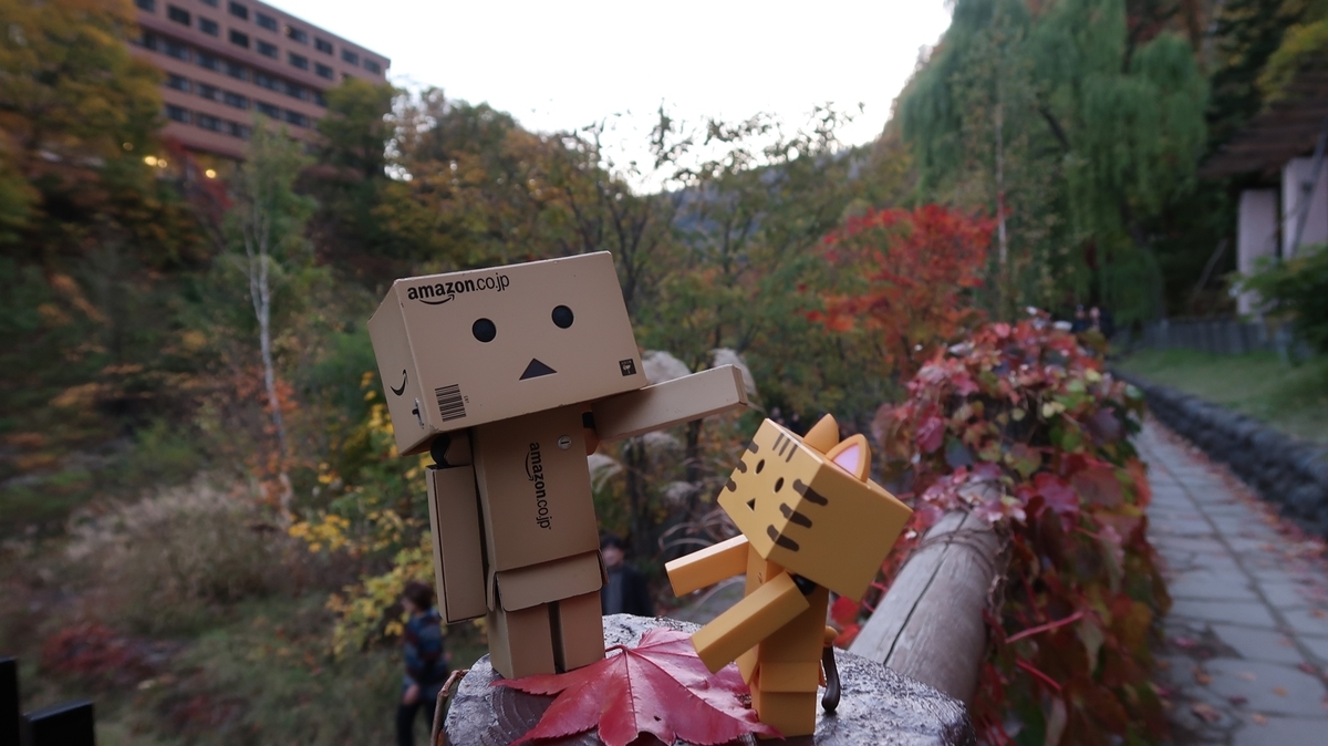 f:id:shirokumapanda:20181116233517j:plain f:id:shirokumapanda:20181116233517j:plain