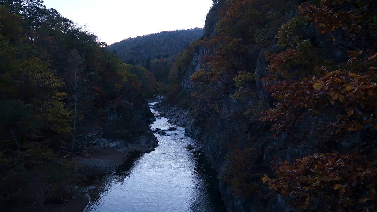 f:id:shirokumapanda:20181116233657j:plain f:id:shirokumapanda:20181116233657j:plain