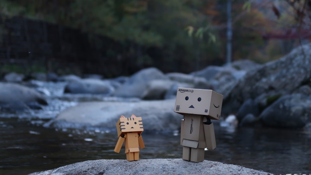 f:id:shirokumapanda:20181116233705j:plain f:id:shirokumapanda:20181116233705j:plain