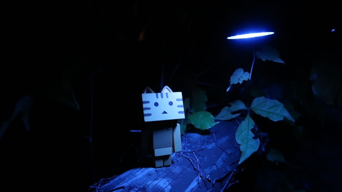 f:id:shirokumapanda:20181116233956j:plain f:id:shirokumapanda:20181116233956j:plain