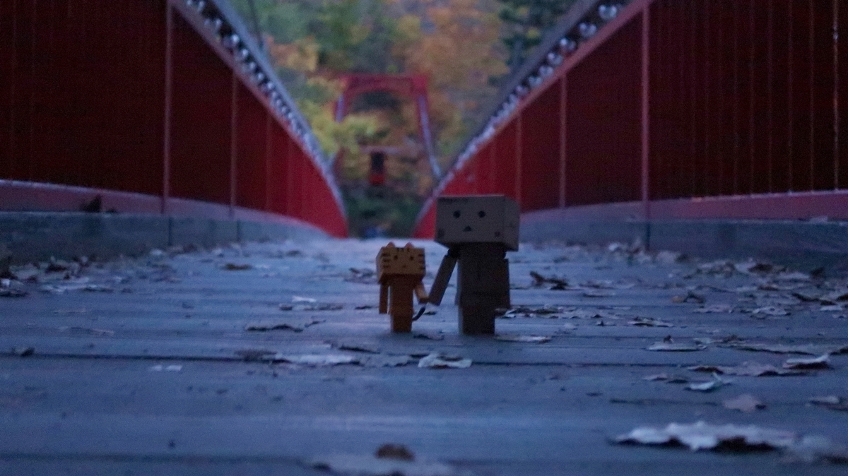 f:id:shirokumapanda:20181116234000j:plain f:id:shirokumapanda:20181116234000j:plain