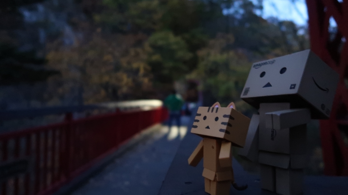 f:id:shirokumapanda:20181116234008j:plain f:id:shirokumapanda:20181116234008j:plain