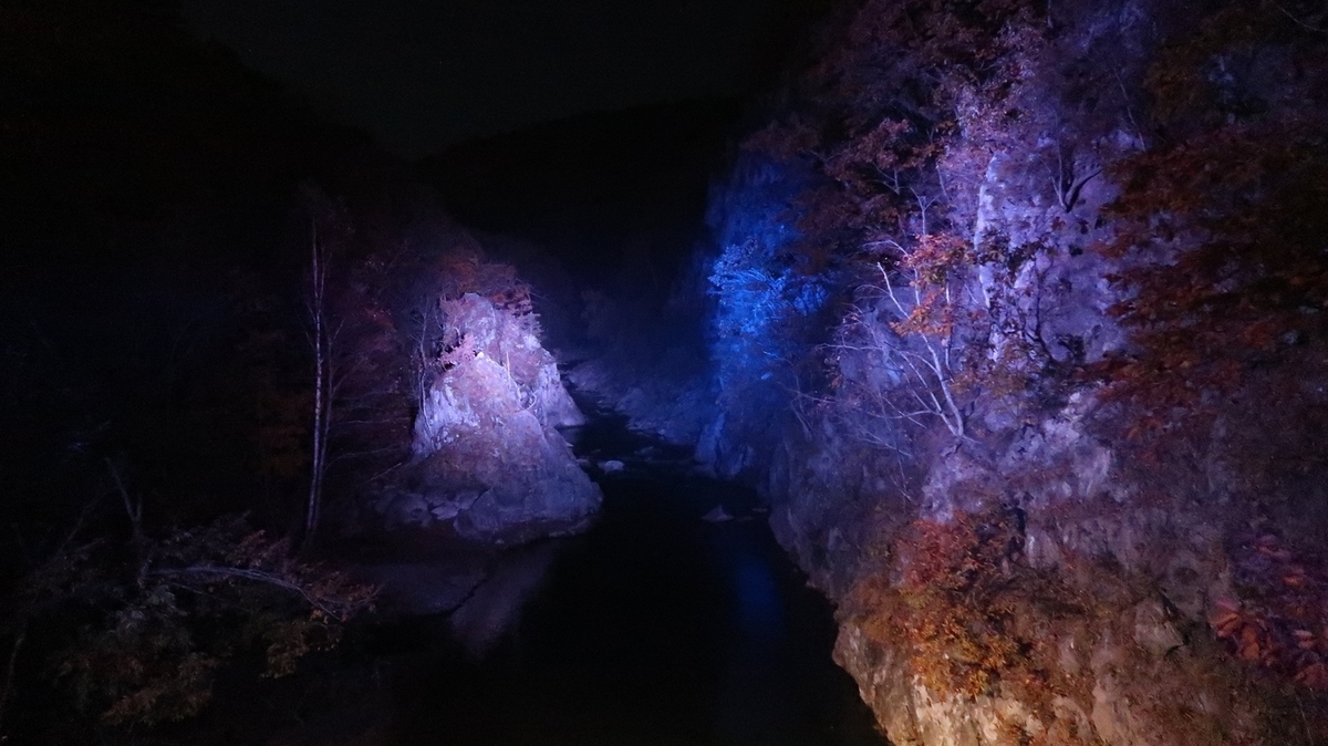 f:id:shirokumapanda:20181116234227j:plain f:id:shirokumapanda:20181116234227j:plain