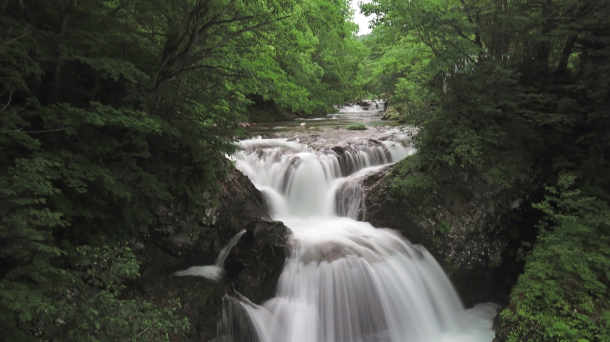 f:id:shirokumapanda:20181117235839j:plain