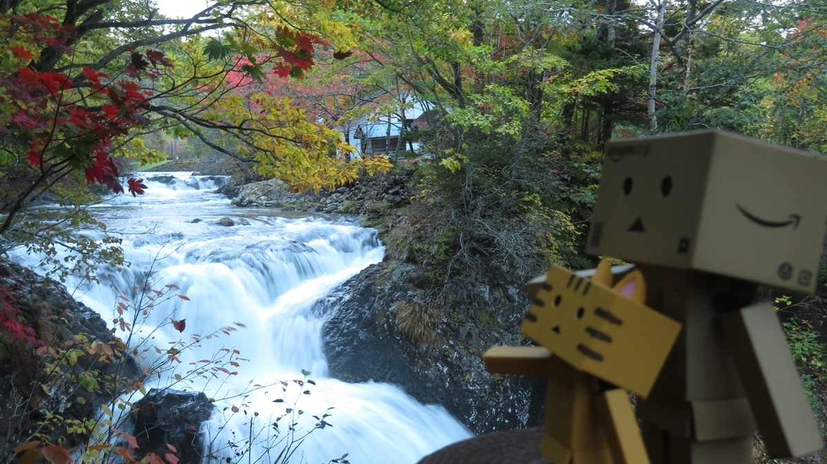 f:id:shirokumapanda:20181118001211j:plain