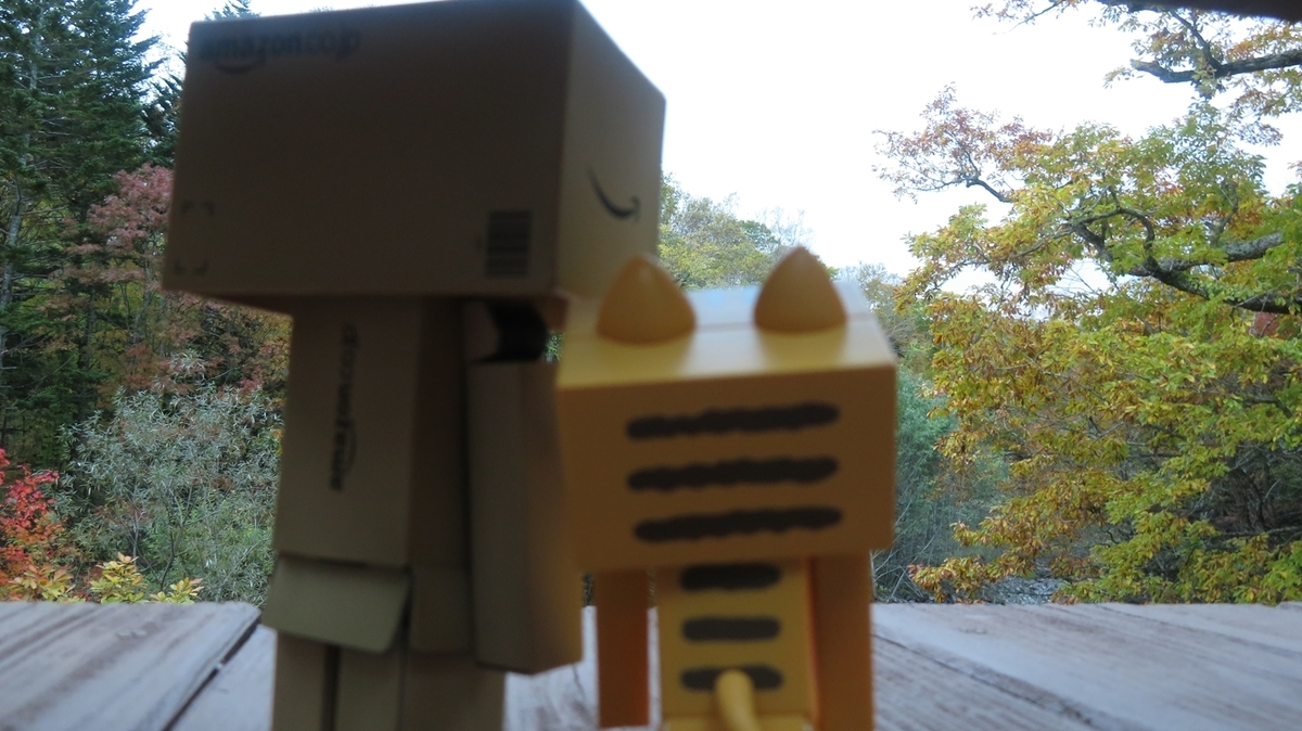 f:id:shirokumapanda:20181118001424j:plain