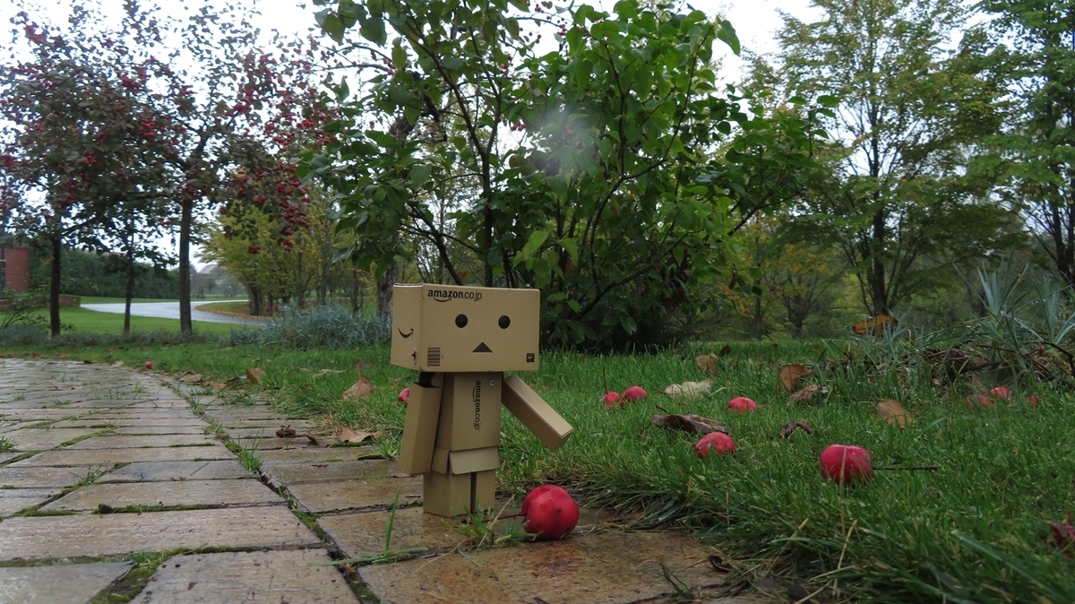 f:id:shirokumapanda:20181118231504j:plain f:id:shirokumapanda:20181118231504j:plain