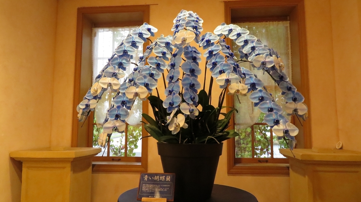 f:id:shirokumapanda:20181118231522j:plain f:id:shirokumapanda:20181118231522j:plain