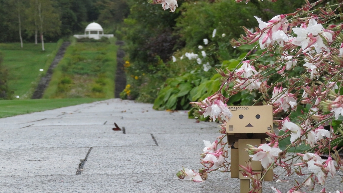 f:id:shirokumapanda:20181118232052j:plain f:id:shirokumapanda:20181118232052j:plain