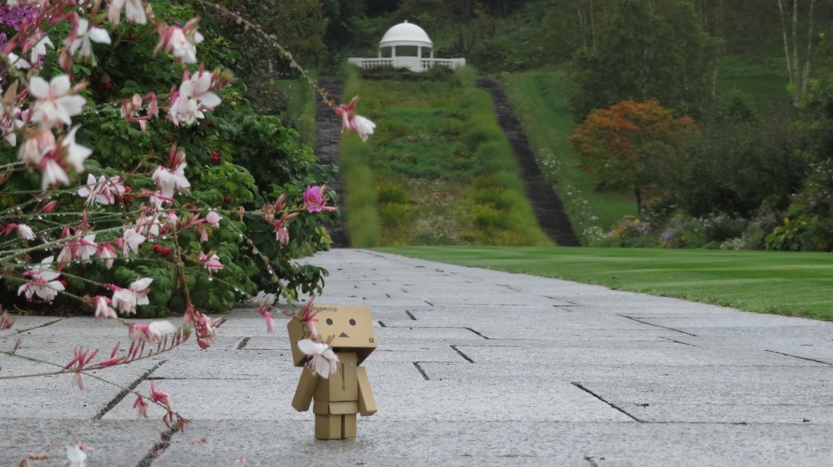 f:id:shirokumapanda:20181118232107j:plain f:id:shirokumapanda:20181118232107j:plain