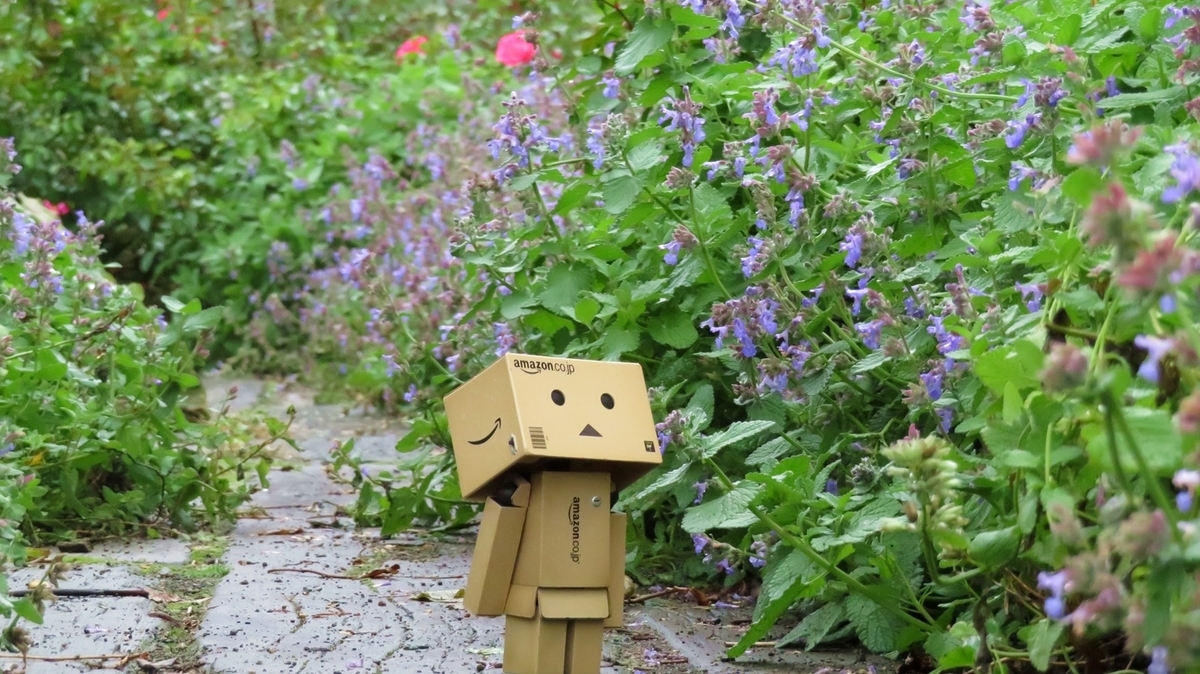 f:id:shirokumapanda:20181118232114j:plain f:id:shirokumapanda:20181118232114j:plain