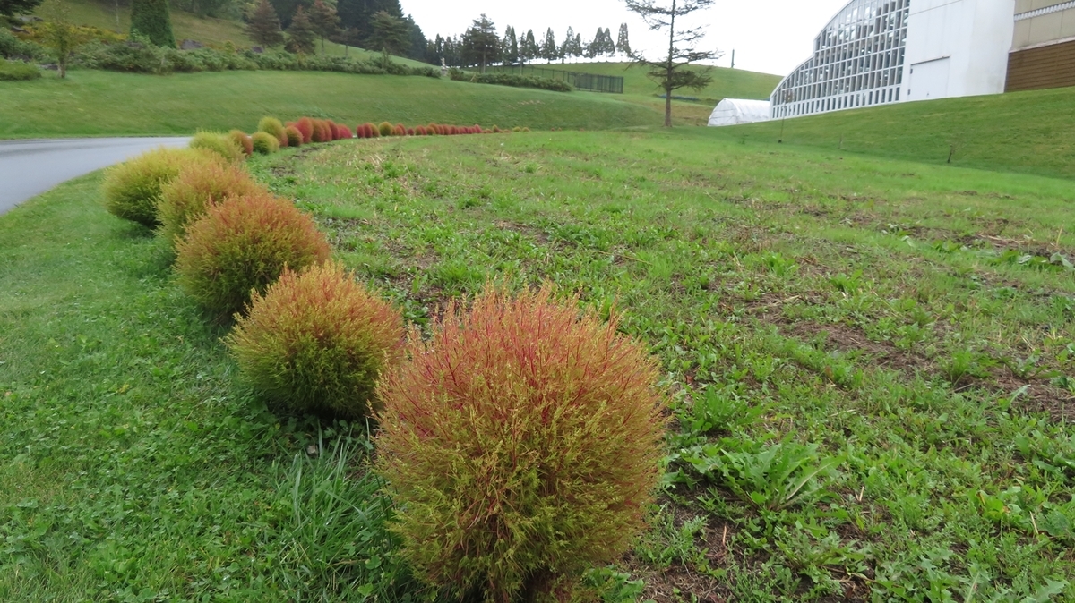 f:id:shirokumapanda:20181118232151j:plain f:id:shirokumapanda:20181118232151j:plain