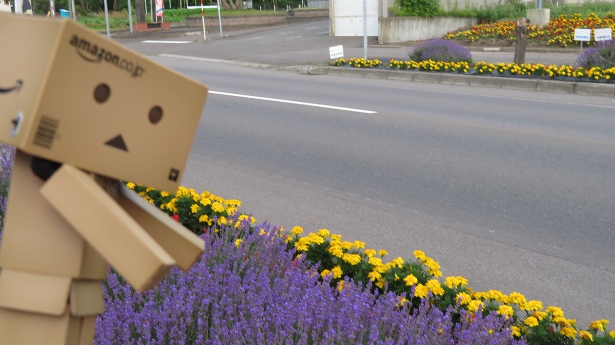 f:id:shirokumapanda:20181121223352j:plain f:id:shirokumapanda:20181121223352j:plain