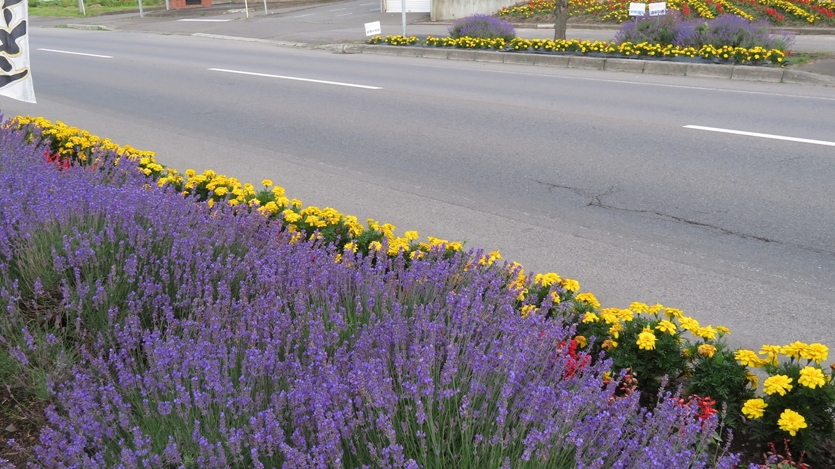 f:id:shirokumapanda:20181121223359j:plain f:id:shirokumapanda:20181121223359j:plain