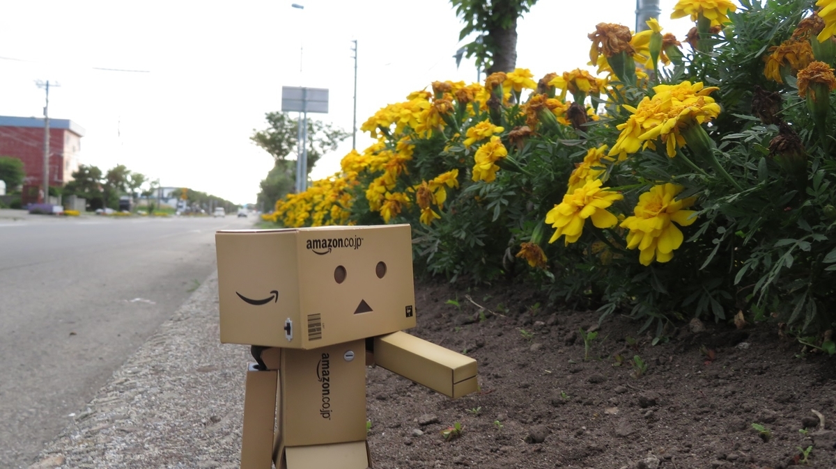 f:id:shirokumapanda:20181121223404j:plain f:id:shirokumapanda:20181121223404j:plain