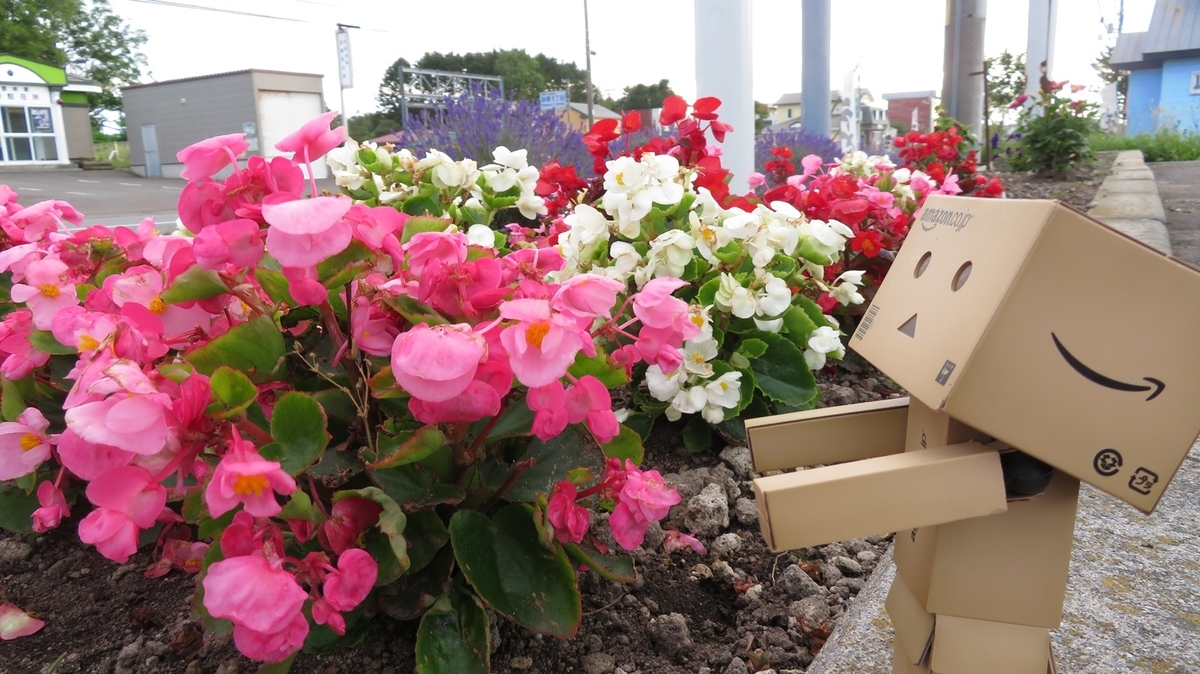 f:id:shirokumapanda:20181121223409j:plain f:id:shirokumapanda:20181121223409j:plain