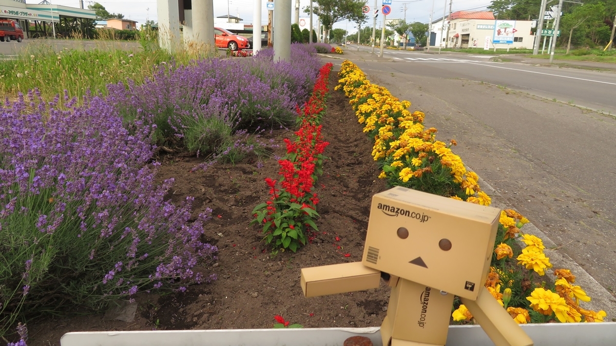 f:id:shirokumapanda:20181121224827j:plain f:id:shirokumapanda:20181121224827j:plain