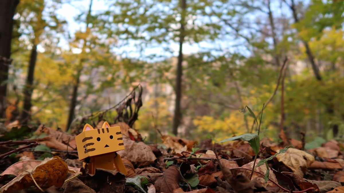 f:id:shirokumapanda:20181122235112j:plain f:id:shirokumapanda:20181122235112j:plain