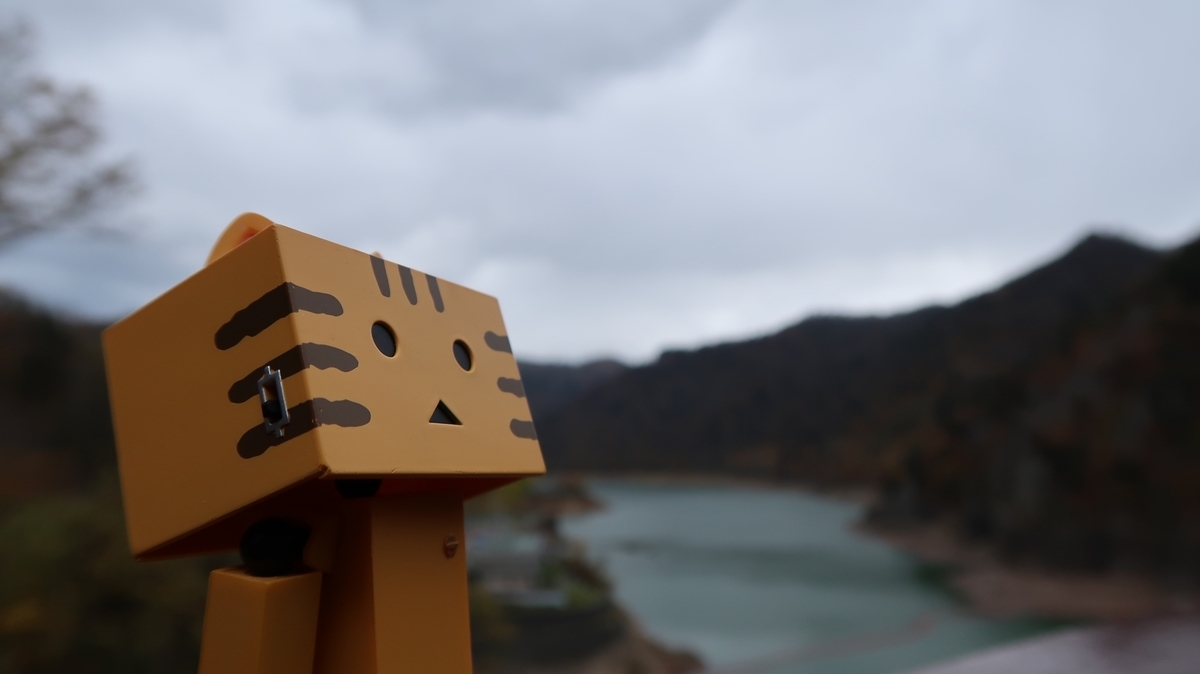 f:id:shirokumapanda:20181122235408j:plain f:id:shirokumapanda:20181122235408j:plain