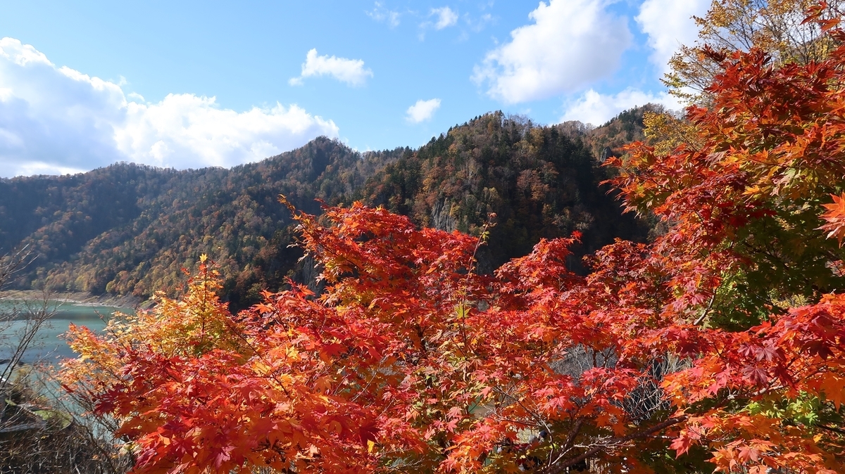 f:id:shirokumapanda:20181122235413j:plain f:id:shirokumapanda:20181122235413j:plain