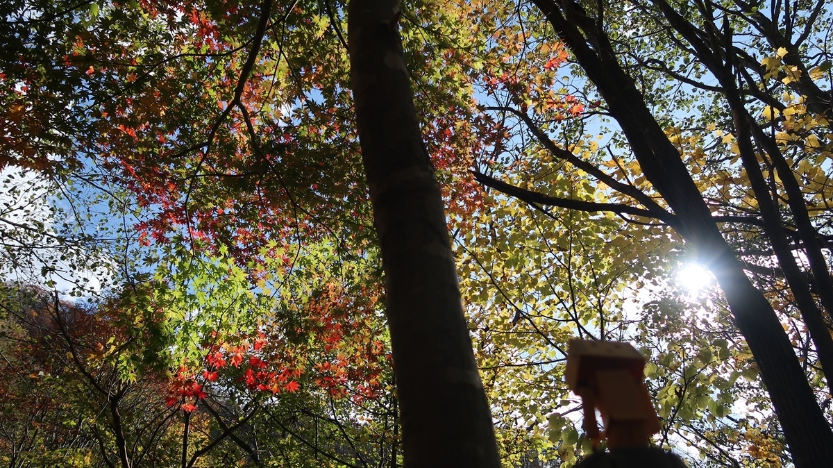 f:id:shirokumapanda:20181122235417j:plain f:id:shirokumapanda:20181122235417j:plain