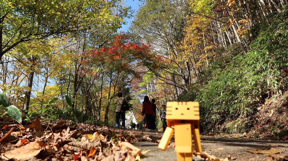 f:id:shirokumapanda:20181122235422j:plain f:id:shirokumapanda:20181122235422j:plain