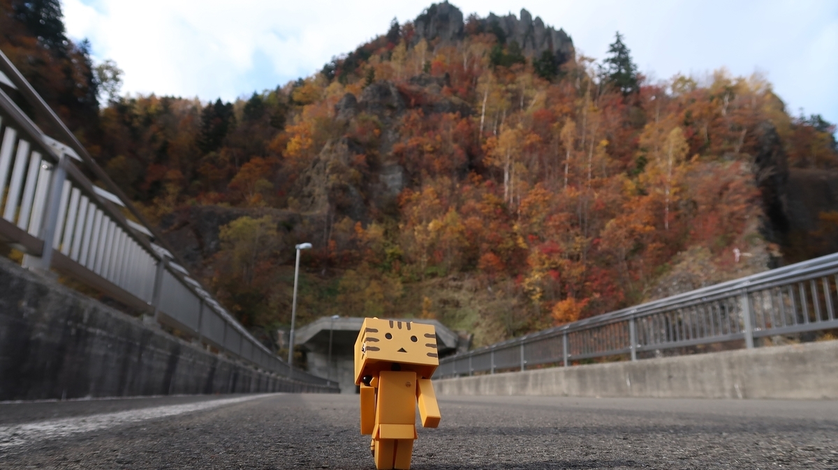 f:id:shirokumapanda:20181122235529j:plain f:id:shirokumapanda:20181122235529j:plain