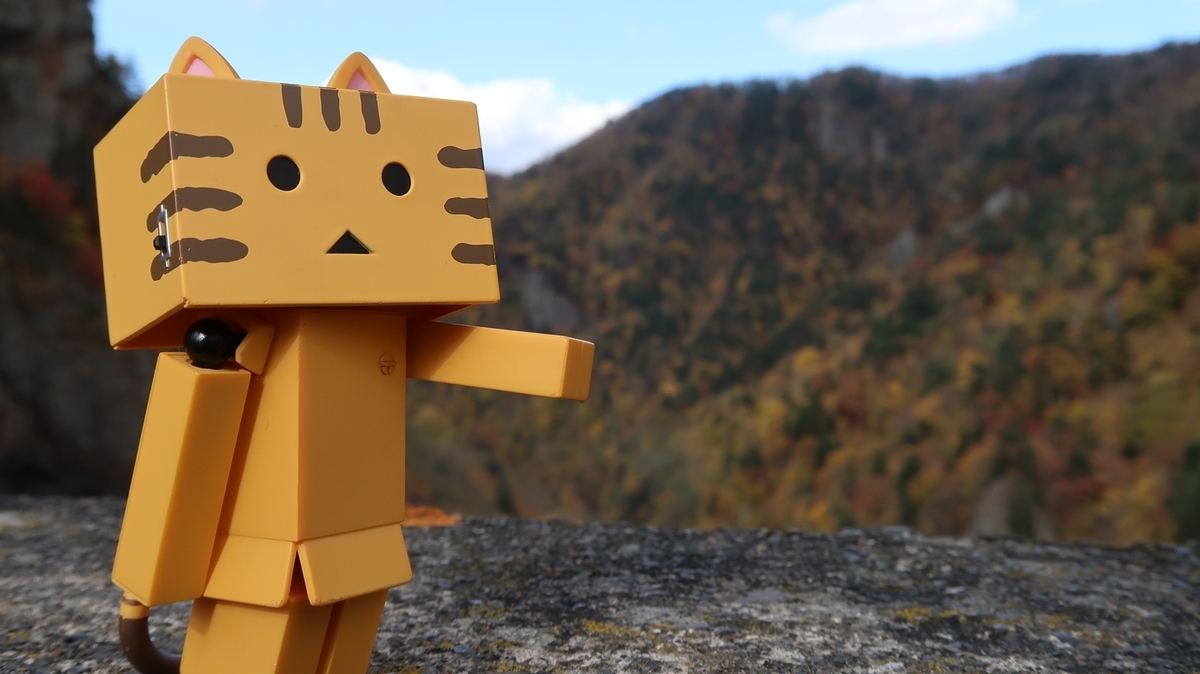 f:id:shirokumapanda:20181122235533j:plain f:id:shirokumapanda:20181122235533j:plain