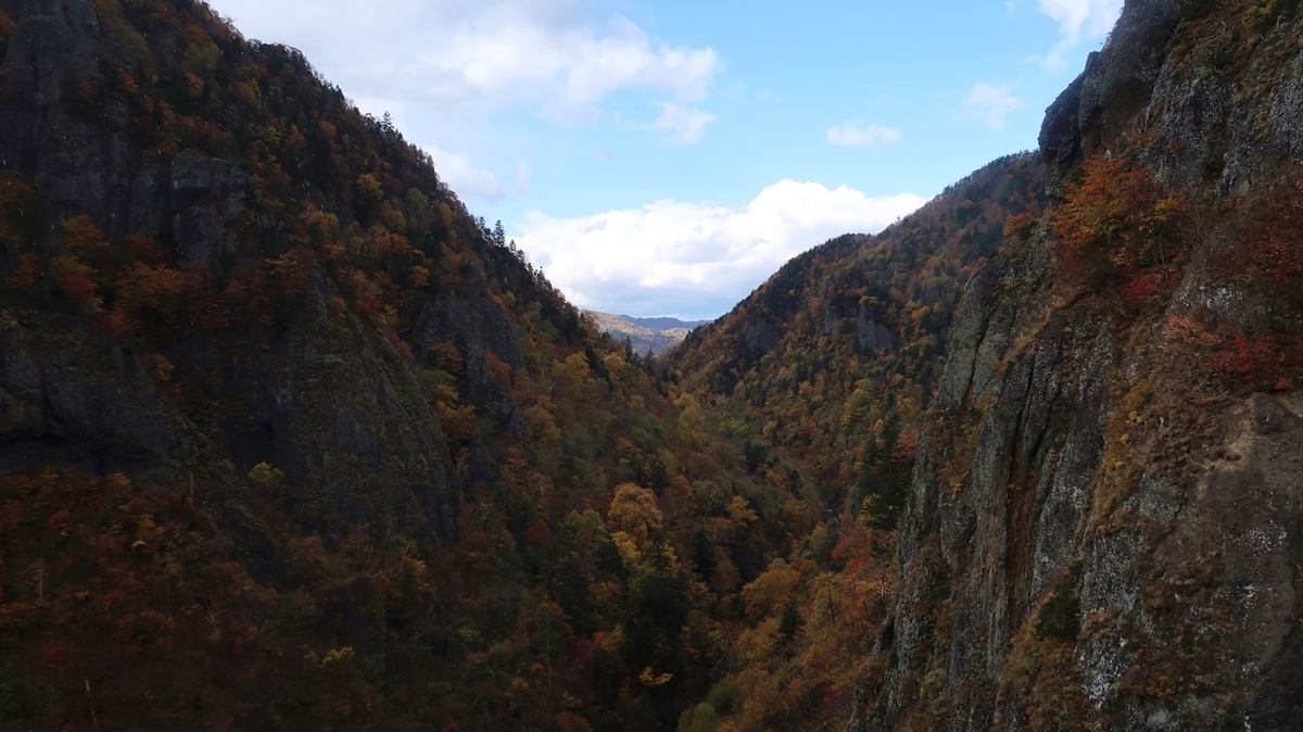 f:id:shirokumapanda:20181122235541j:plain f:id:shirokumapanda:20181122235541j:plain