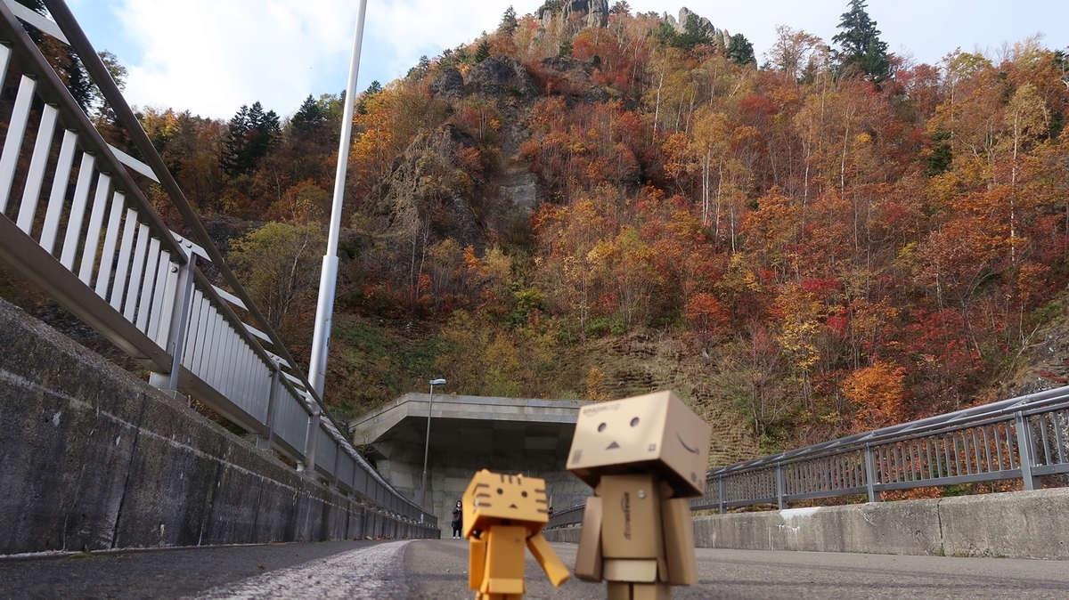 f:id:shirokumapanda:20181122235813j:plain f:id:shirokumapanda:20181122235813j:plain